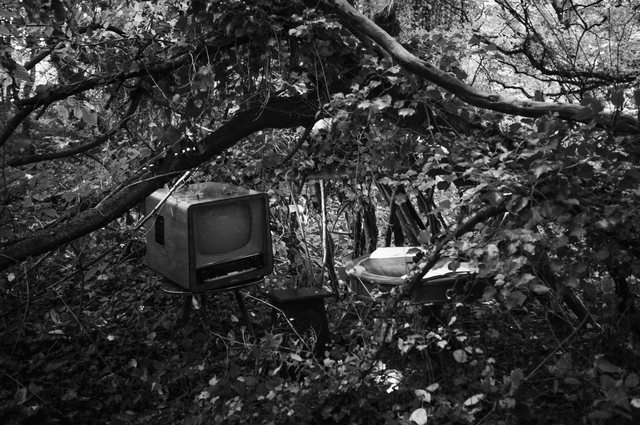 Die Tür — Fernseher im Wald