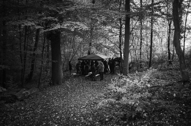 Die Tür — der Wald